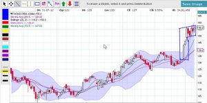 Tata Global - Bull Flag.jpg