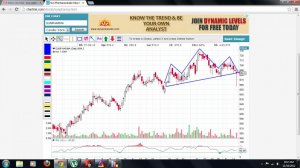 Sun Pharma - Head and shoulders.jpg