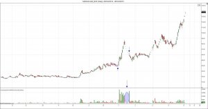 MANGALAM Drugs & Organic_NSE (Daily)09_Oct_2014 - 06_Oct_2015.jpg